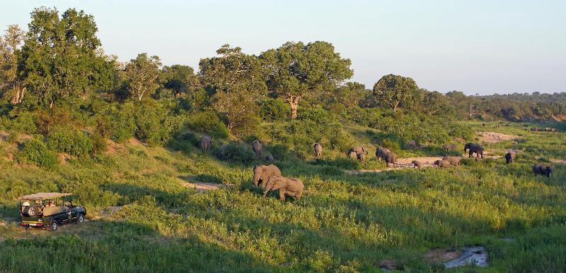 Jock Safari Lodge Skukuza Exterior photo