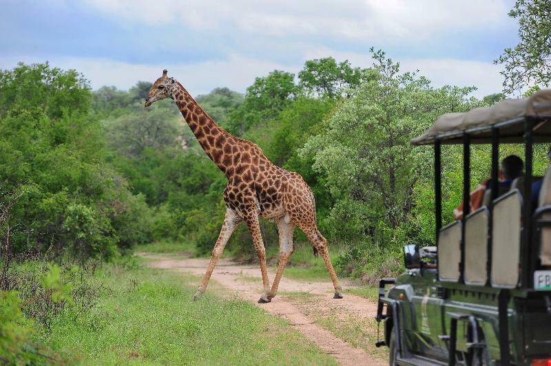 Jock Safari Lodge Skukuza Exterior photo